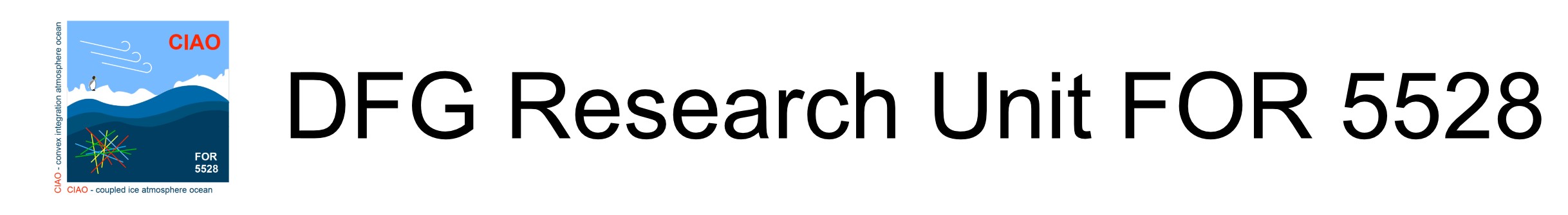 DFG Research Unit FOR 5528 DFG Research Unit FOR 5528